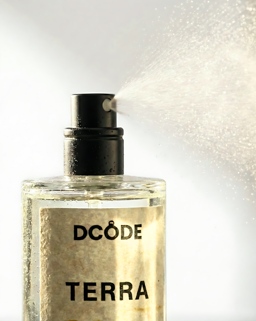 TERRA